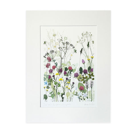 Highgrove Wildflower Meadow Clover and Cow Parsley Print