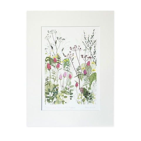 Highgrove Wildflower Meadow Orchids and Yellow Rattle Print