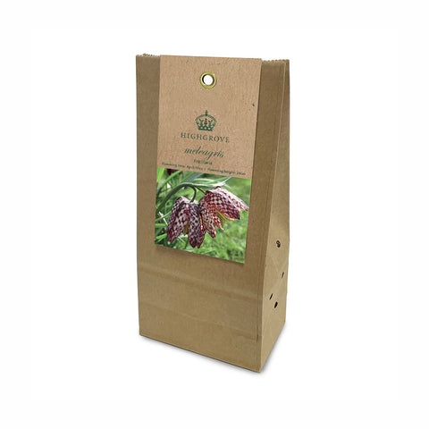 Fritillaria ‘meleagris’ Bulbs (Pack of 12)