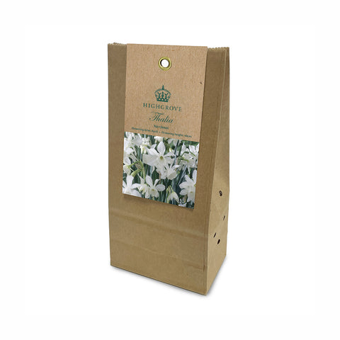 Narcissus ‘Thalia’ Bulbs (Pack of 5)