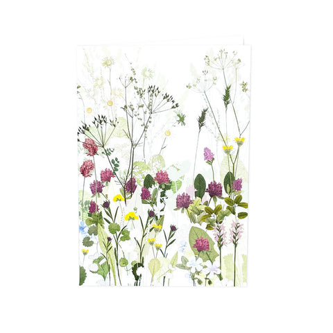 Highgrove Wildflower Meadow Clover and Cow Parsley Greeting Card