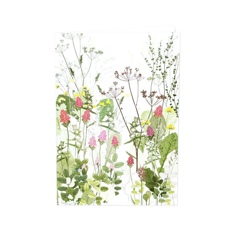 Highgrove Wildflower Meadow Orchids and Yellow Rattle Greeting Card