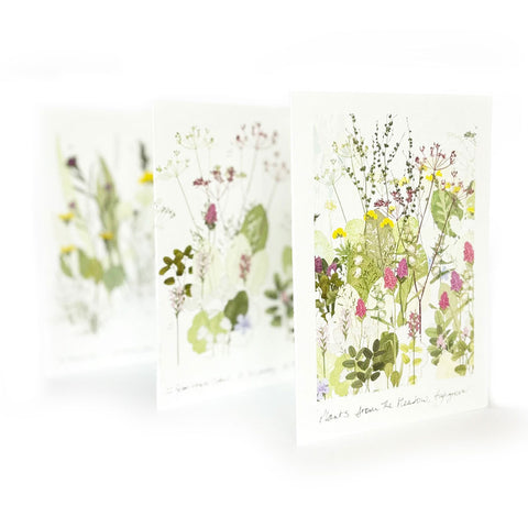Highgrove Wildflower Meadow Concertina Card