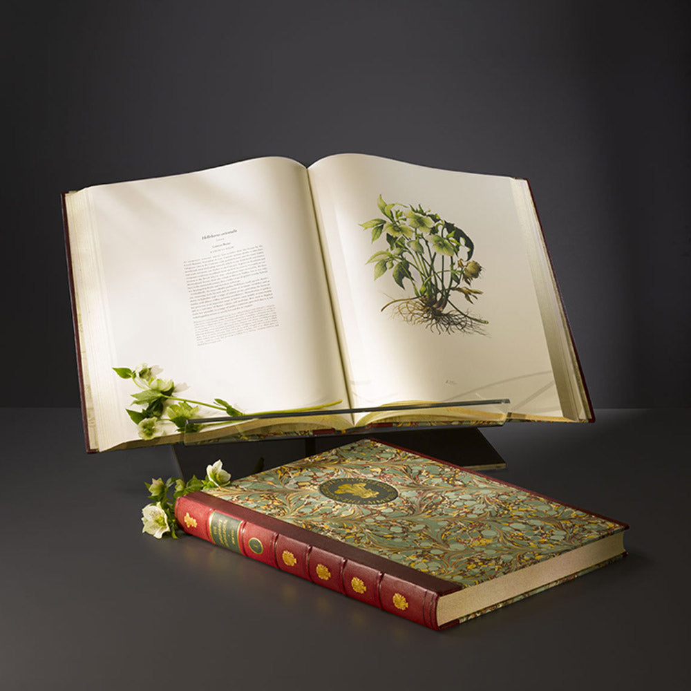 Highgrove The Highgrove Florilegium