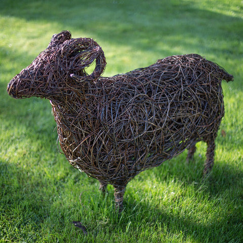 Swaledale Ewe Sheep Willow Sculpture