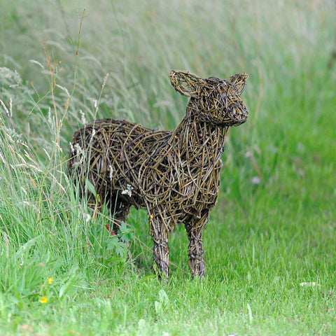 Cotswold Lamb Willow Sculpture