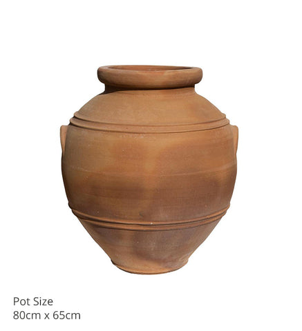 Eva Pots (various sizes)