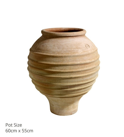 Beehive Pots (various sizes)