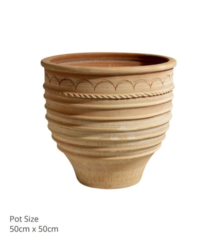 Iraklis Pots (various sizes)