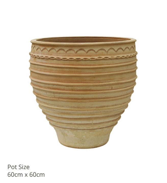 Iraklis Pots (various sizes)