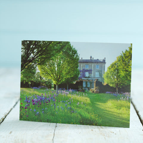 The Wildflower Meadow Postcard