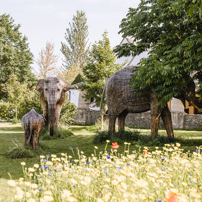 Meet the Elephant Family: A Touching Addition to Highgrove Gardens