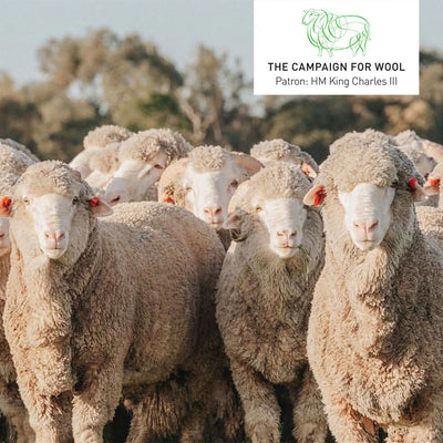 Campaign for Wool: Celebrate Wool Month at Highgrove