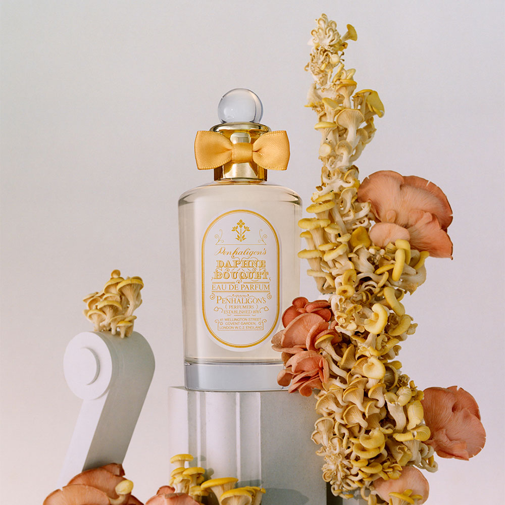 Highgrove Daphne: A Fragrant Folklore