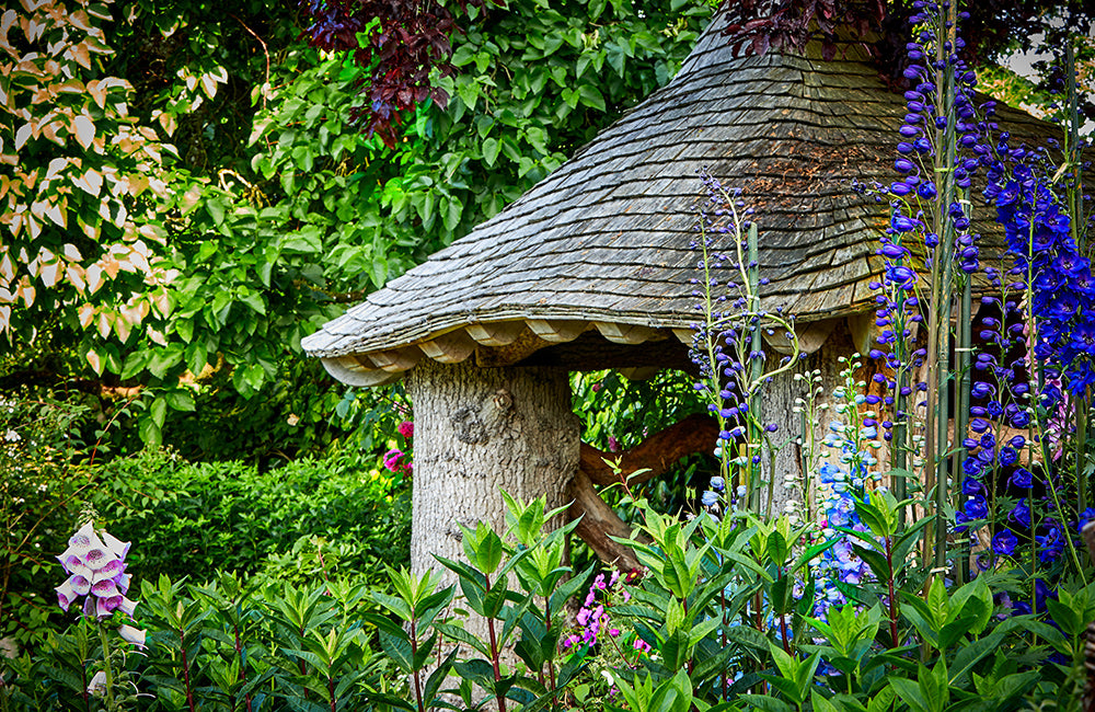 Garden Tours, Events & Workshops