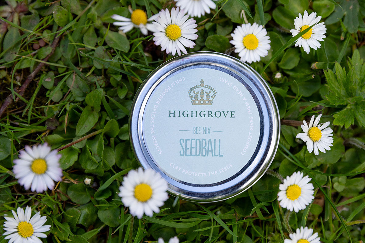 Highrove Roses,Seeds and Bulbs