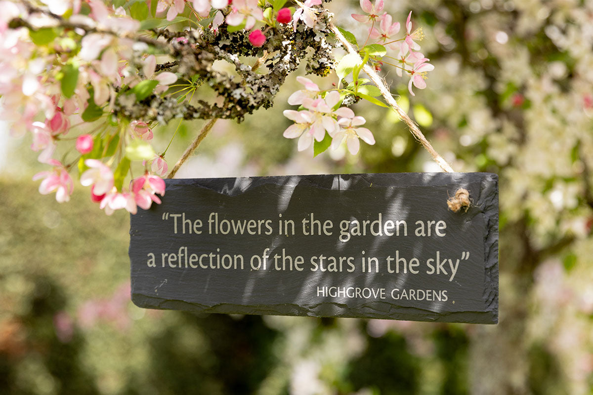 Decorative Garden