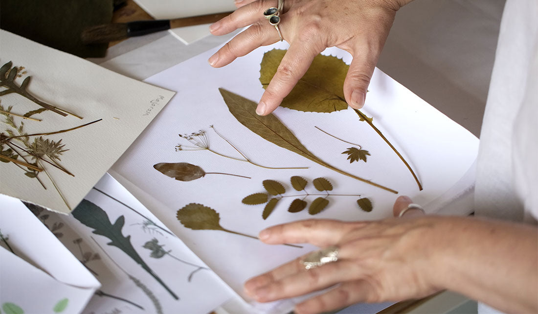 Amanda Ross Wildflower Meadow Prints & Greeting Cards