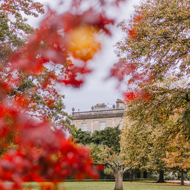 Group Autumn Walks for Tour Operators