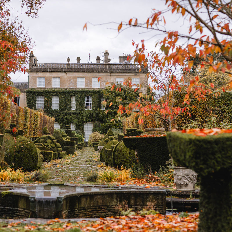 Autumn Garden Walk (with two-course lunch)