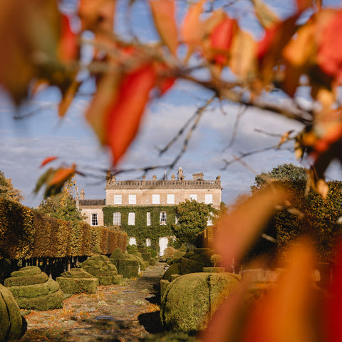 Experience an Autumn Garden Walk at Highgrove Gardens 2025