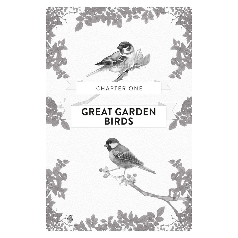 RSPB Great British Birdwatcher's Puzzle Book