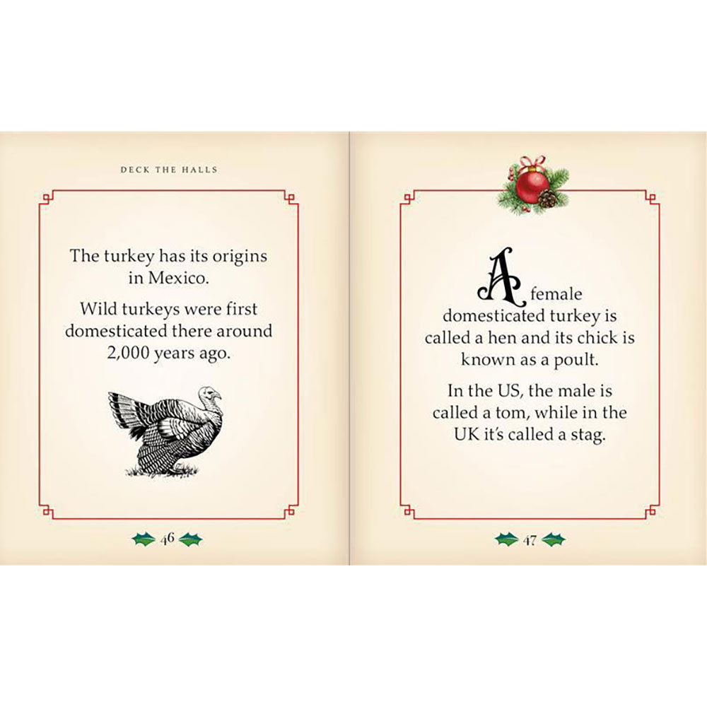 A Little Book for Christmas: A Collection of Glad Tidings and Festive Facts