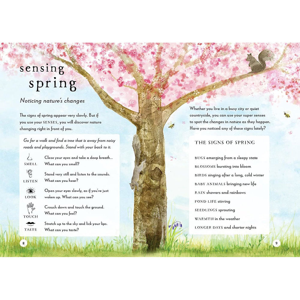 A Field Guide to Spring: Play and Learn in Nature