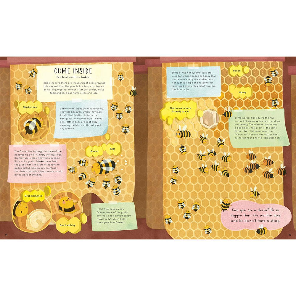 The Secret Life of Bugs, Bees and Trees