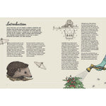 RHS 50 Ways to Outsmart a Squirrel and Other Garden Pests