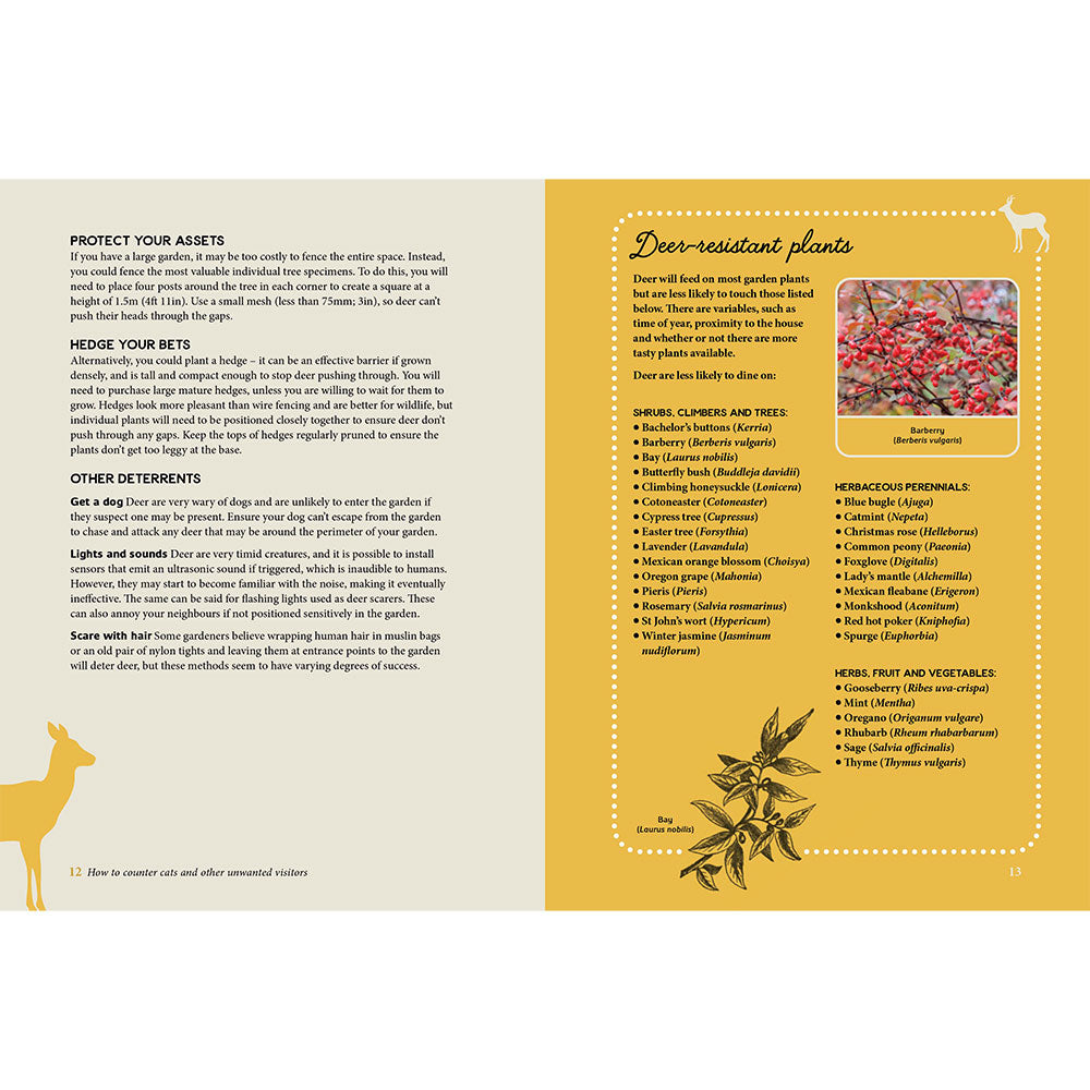 RHS 50 Ways to Outsmart a Squirrel and Other Garden Pests