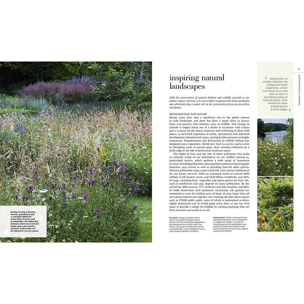 New Wild Garden