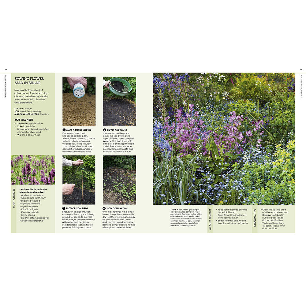 wild garden seed catalog New Wild Garden : Natural-style planting and practicalities