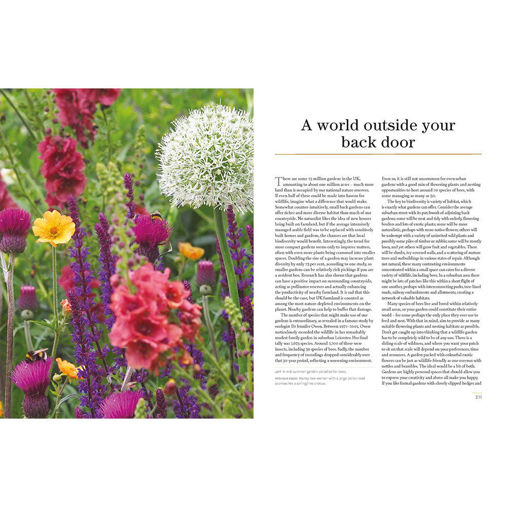 Garden scene with colorful flowers and text on a white background