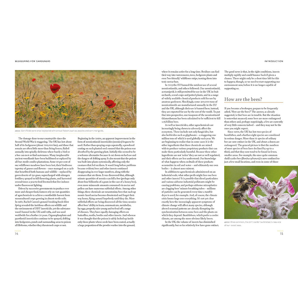 Book page with images of a field of flowers and a bee on a flower, accompanied by text.