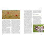 Book page with images of a field of flowers and a bee on a flower, accompanied by text.