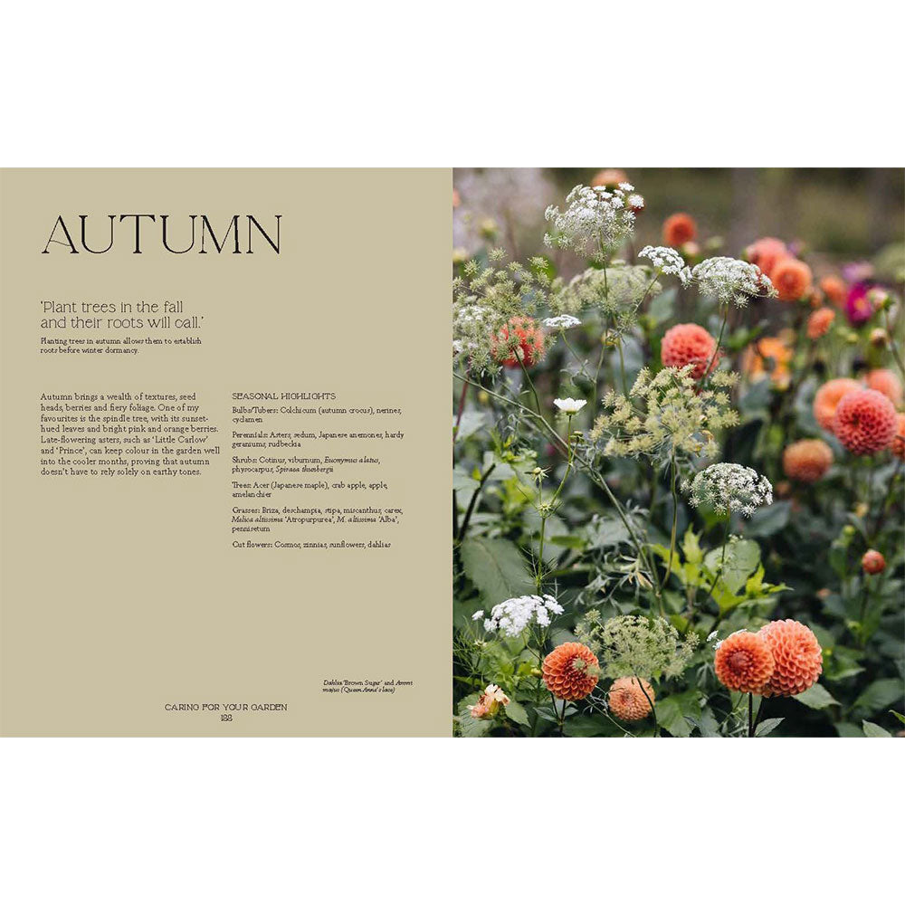 Autumn-themed garden scene with flowers and text on a beige background