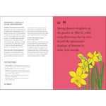 Garden care advice with daffodils on a pink background