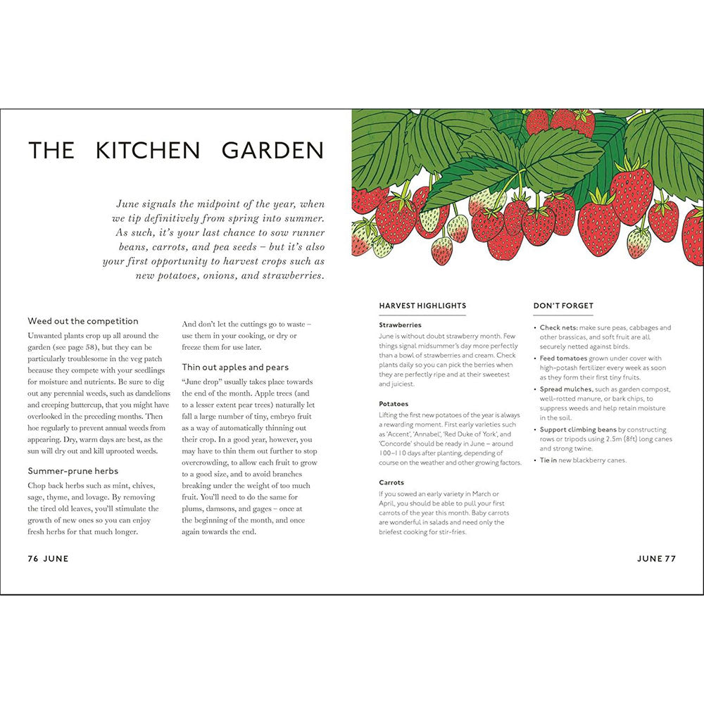 Page from a gardening book with text and illustrations of strawberries.