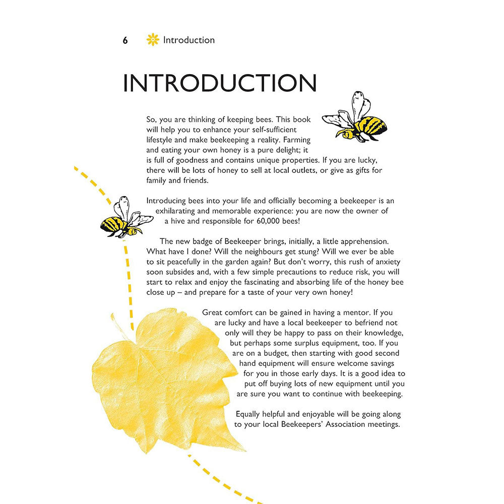Book page with introduction text and bee illustrations on a white background