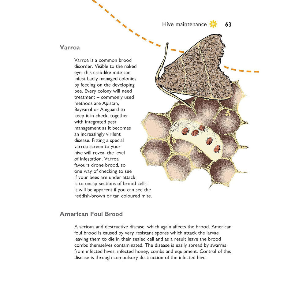 Illustration of Varroa mites on honeycomb with text about hive maintenance and brood diseases.