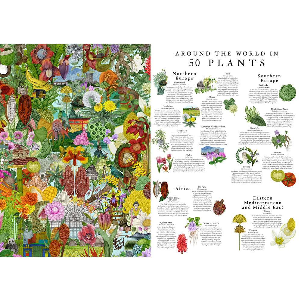 Illustrated poster with a collage of plants and a list of plants from different regions.