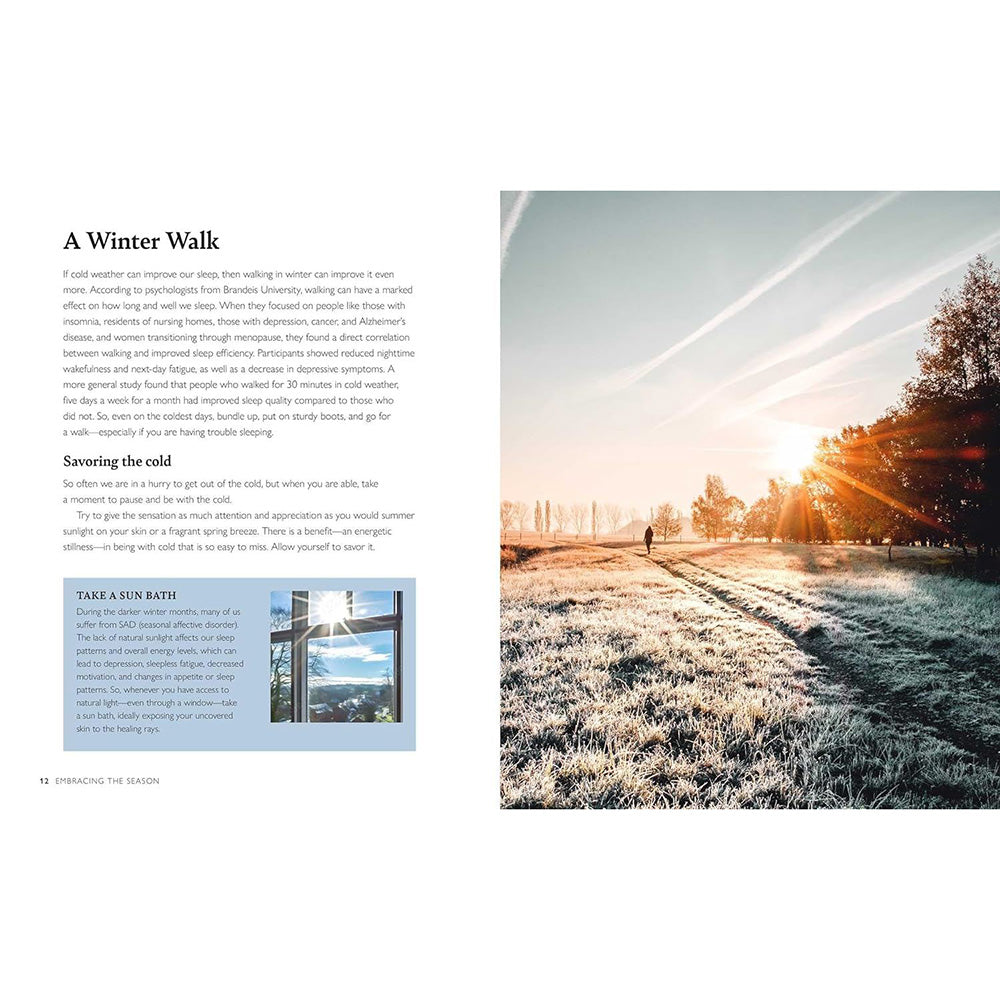 Winter scene with a sunlit path and trees, text on the left side.