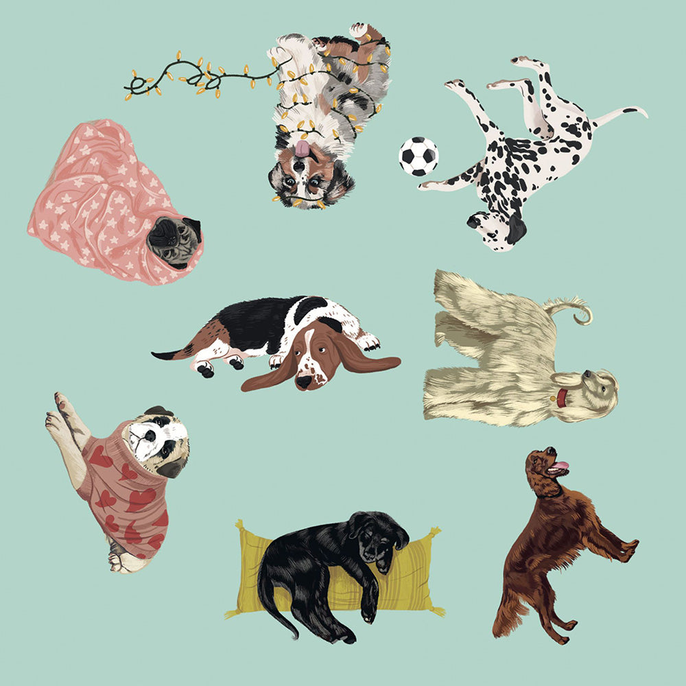 A collection of whimsical, hand-drawn illustrations of various dog breeds in playful poses, including sleeping, playing, and curled up positions, set against a solid light teal background.