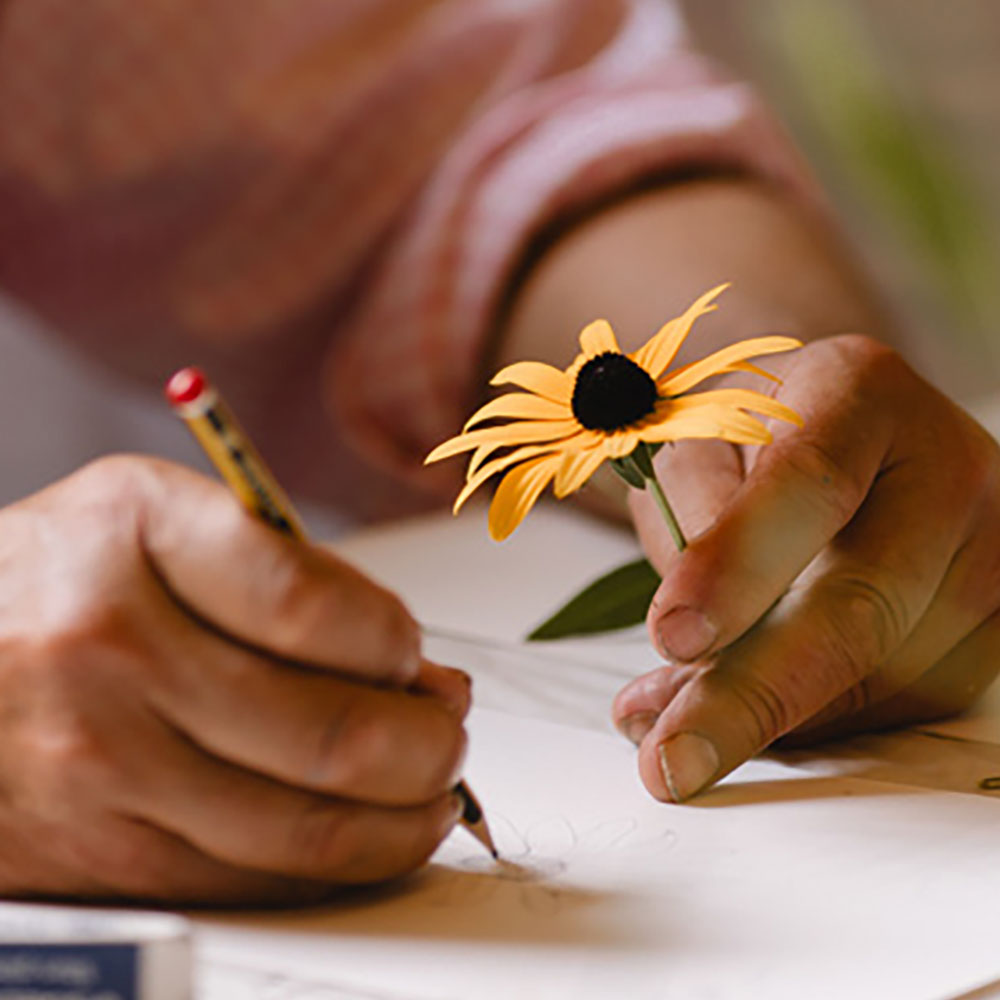Botanical Drawing Workshop with Garden Tour (One-Day)
