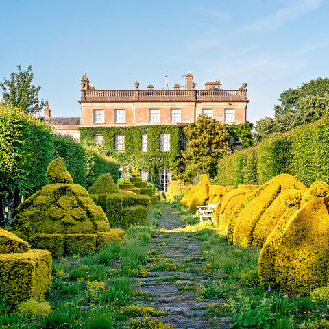 **Sold Out** Champagne Tea Tour E-Voucher 2024