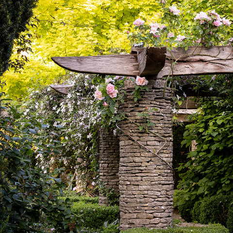 Champagne Tea and Garden Tour