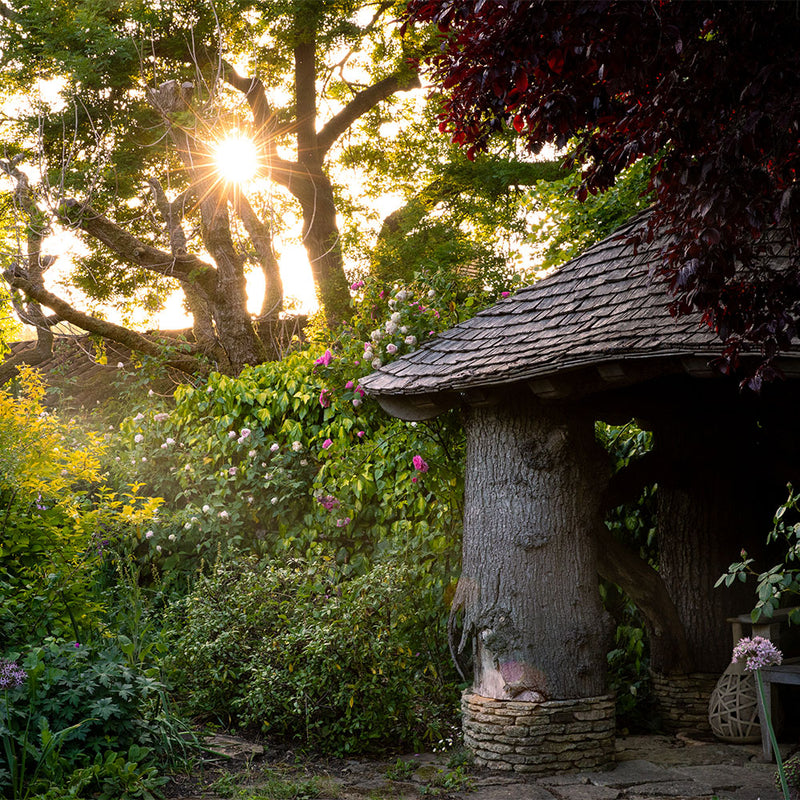Dusk Walks at Highgrove
