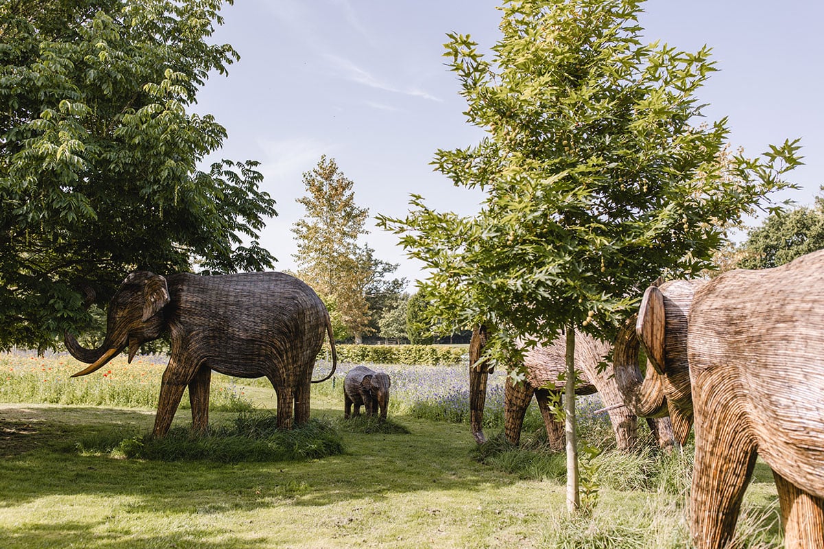 Meet the Elephant Family: A Touching Addition to Highgrove Gardens