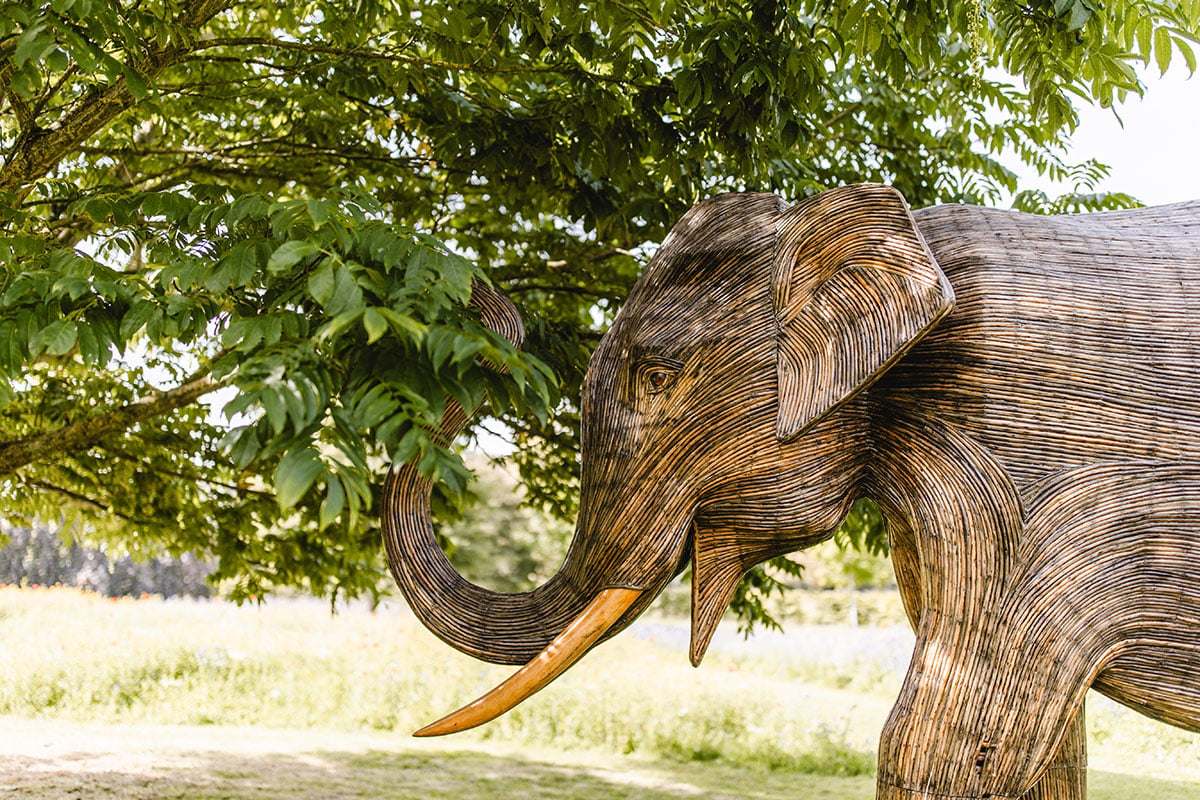 Meet the Elephant Family: A Touching Addition to Highgrove Gardens